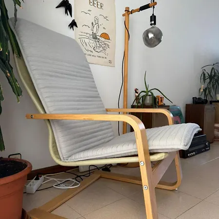 Cool Cats House Феррел